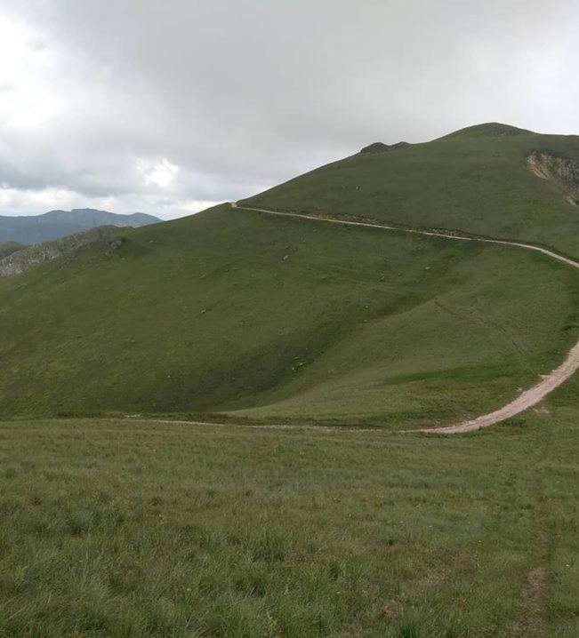 Stan Kolasin Bagian luar foto