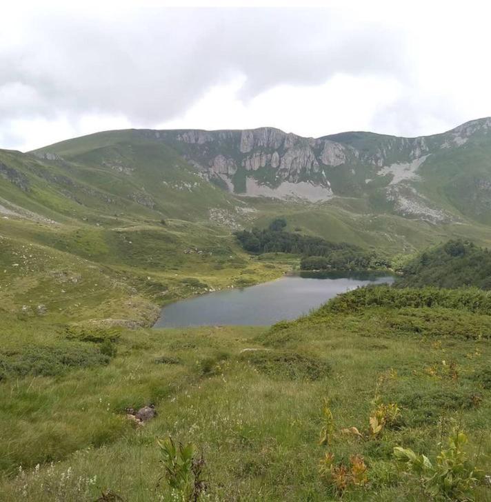 Stan Kolasin Bagian luar foto